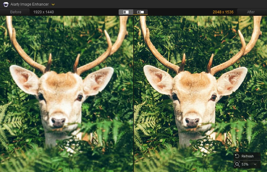 Aiarty Image Enhancer: AI-powered image upscaling and restoration for Windows and Mac