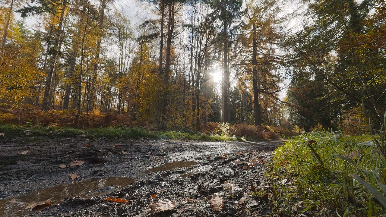 DJI Action 6 lens flare