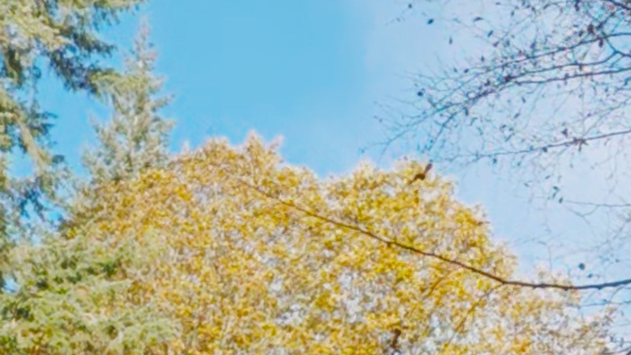 DJI Action 6 white outlines-1