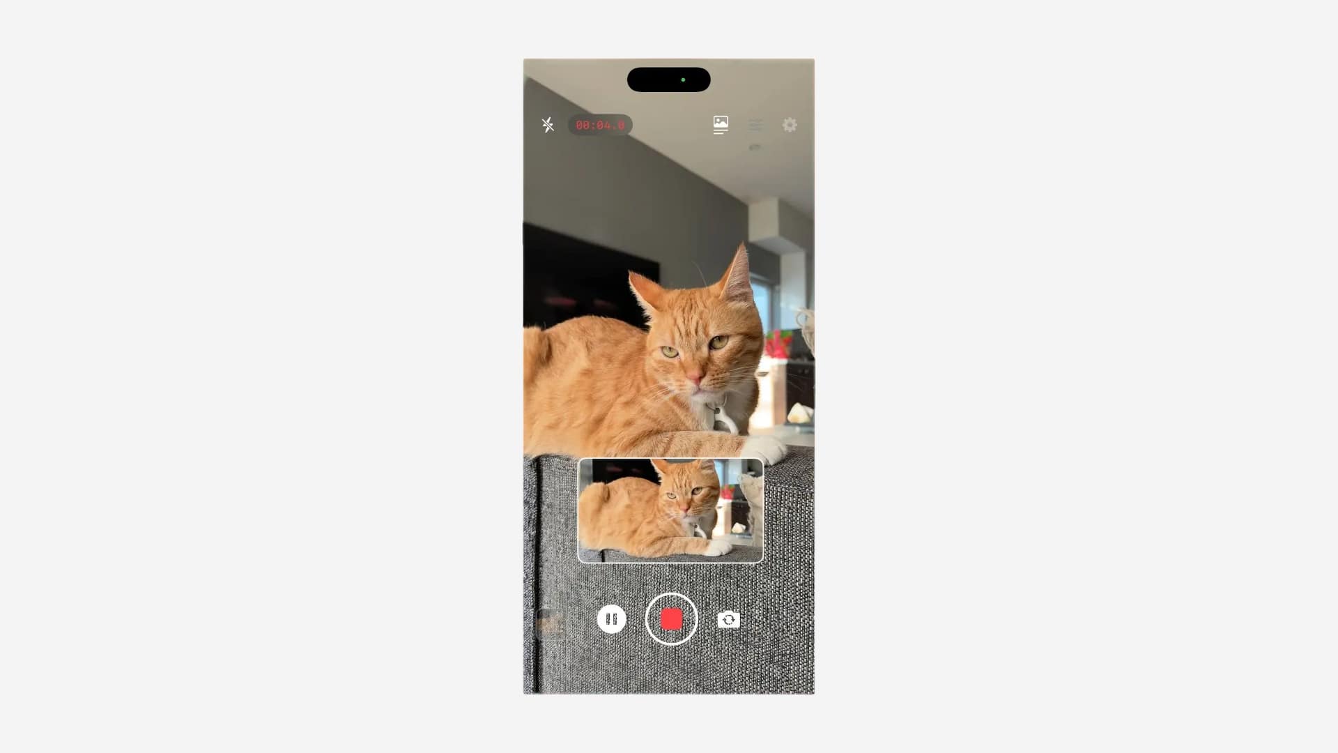 DDJR Productions DualShot Recorder recording screen with a cat in frame, inset preview, and red stop button