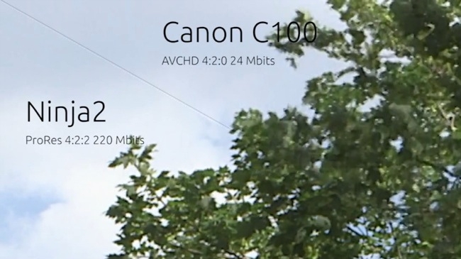 ProRes vs AVCHD Loucam