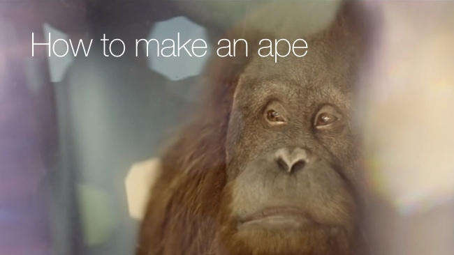 How to make an ape SSE/Adam and EveDDB/The Mill