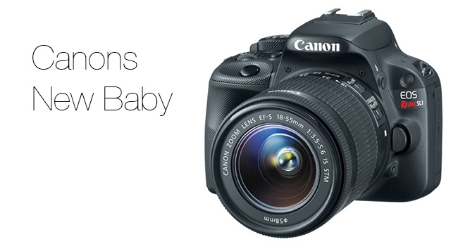 Canon Rebel SL1 / EOS 100D Canon/Redshark
