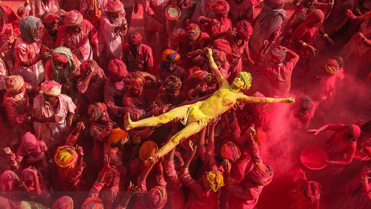 You want to know about colour? We have the answers... Shutterstock