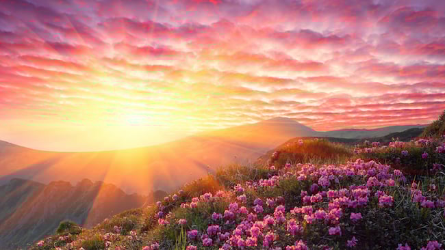 8K HDR images will need a lot of that cloud to be processed Shutterstock.com