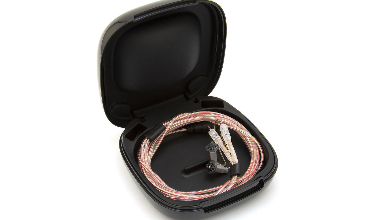 Bubblebee Sidekick InEar monitors allow effective communication even