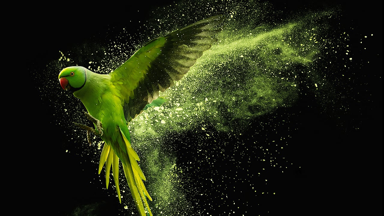 Ultra slow motion is now available to producers at all levels of budget Shutterstock