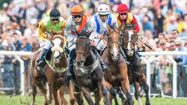 Jockeys graphic by shutterstock.com Shutterstock
