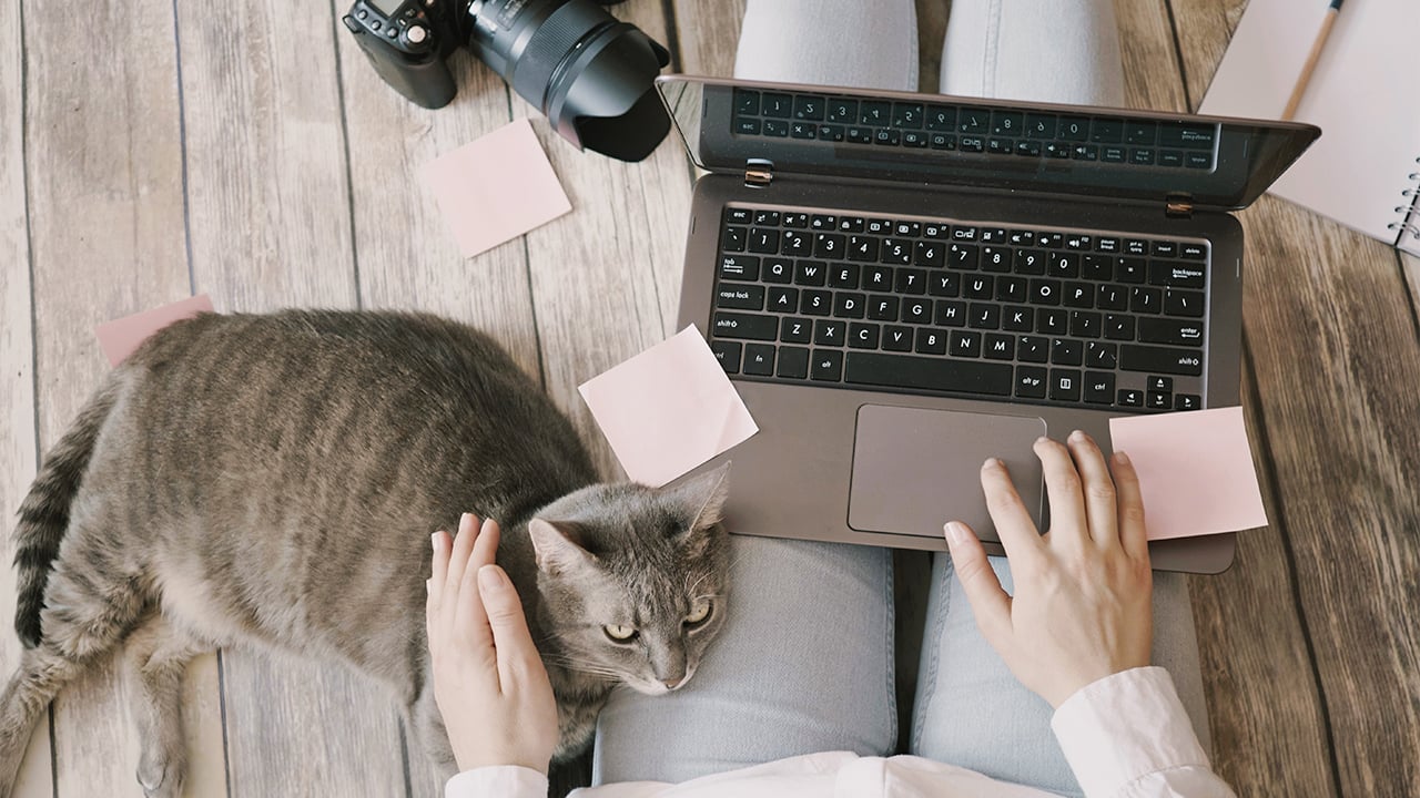 Working from home is not a great option if a client wants to visit! Shutterstock