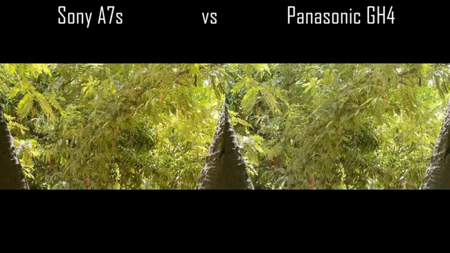 A7S and GH4 comparison Jorj Baker