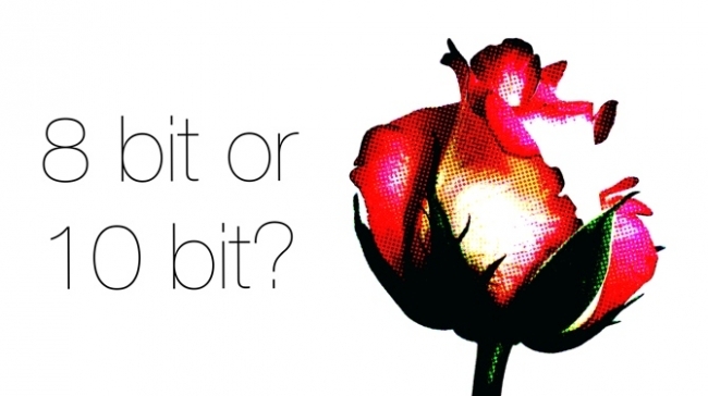 Quantized Rose David Shapton/ RedShark