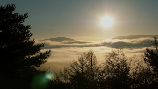 Out & about with a GH5 in Japan Steven Clarey