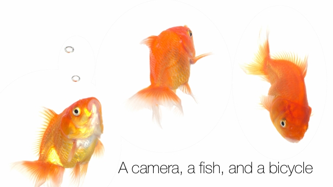 And a camera that can tell the difference between them RedShark