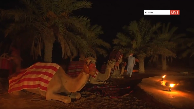 Live from Dubai, for all of three seconds Virgin Holidays / AMV BBDO