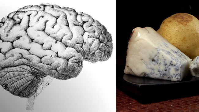 Brain and Gorgonzola John Sullivan / RedShark News