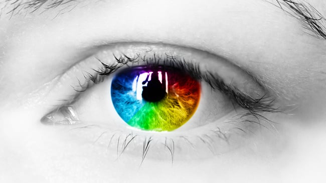 Why is green the most important colour for the human eye? Shutterstock