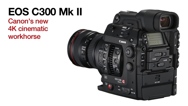 Canon EOS C300 MK 2 Canon/RedShark