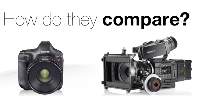 Canon/Sony/RedShark