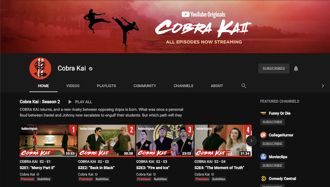 Cobra Kai - YouTube Premium.png