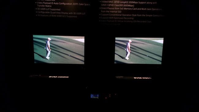 TV could be reference quality
