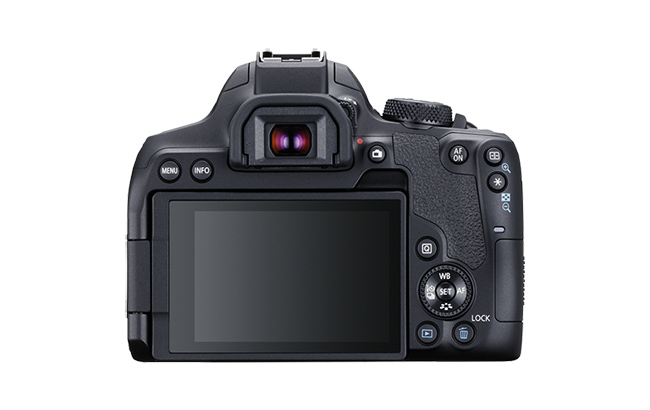 EOS 850D rear.jpg