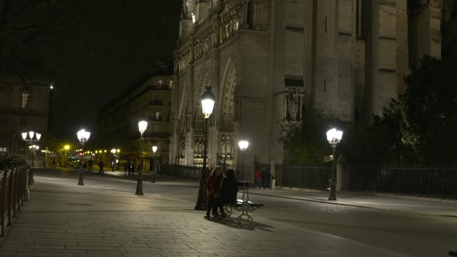 Fig_2a_Notre_Dame_NIGHT_scaled.jpg