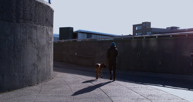 Girl_with_dog_against_bright_sun.jpg