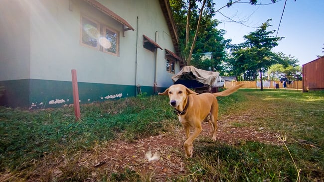 GoPro Uganda-4.jpg