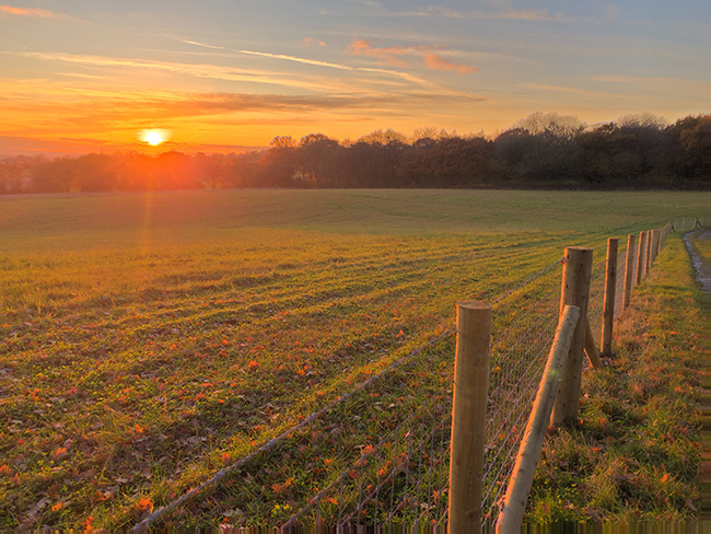 HDR field sunset.jpg