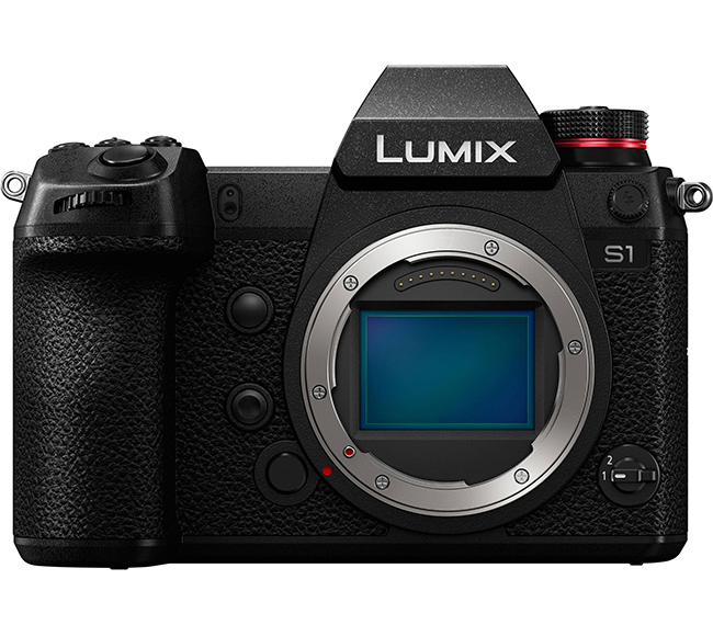 Panasonic Lumix S1 camera choice.jpg