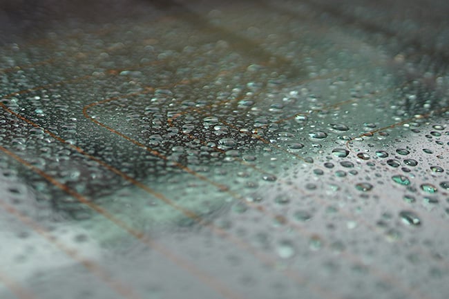 Rain drops on glass narrow dof.jpg