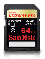 SanddiskSDcard.jpg