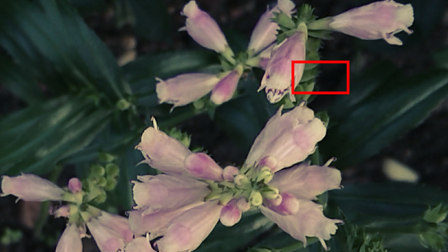 This test image was compressed with a common camera codec using the combinations-of-sine-waves technique described in the article.png