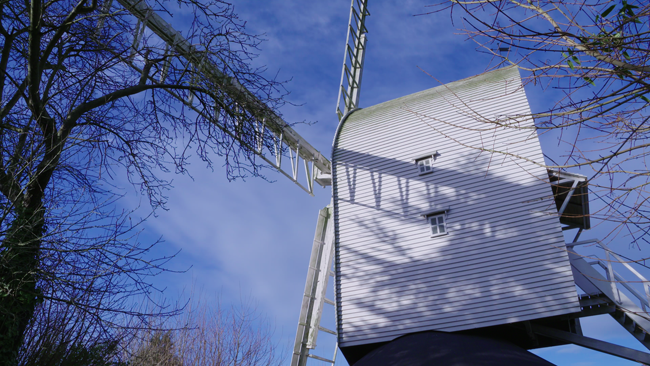 This was shot on an FS7. What we see here is the result of Sony's LC709A LUT, which is reputedly an attempt to ape Alexa. It has not been corrected for your sRGB display.png