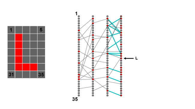 To improve our result, we slightly  decrease the weighting of connections which give us incorrect answers,  shown here in blue