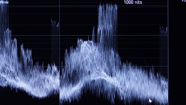 Waveform displays optionally read out in nits or code values.JPG