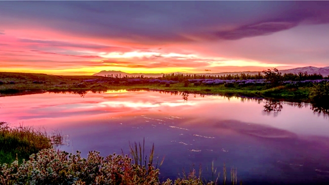 Iceland in all its multi-hued beauty Evosia Studios