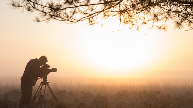 Wildlife photographer Dick Harrewijn on location with the VariCam Jeffrey van Houten