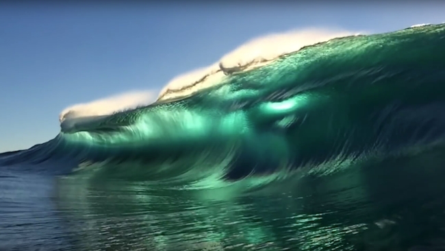 Take one iPhone, add waterproof housing and a lot of patience... Ryan Pernofski
