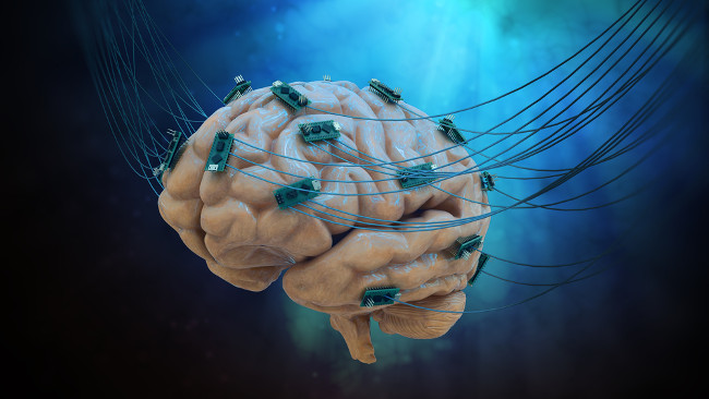 Brain graphic by www.shutterstock.com Shutterstock / RedShark News