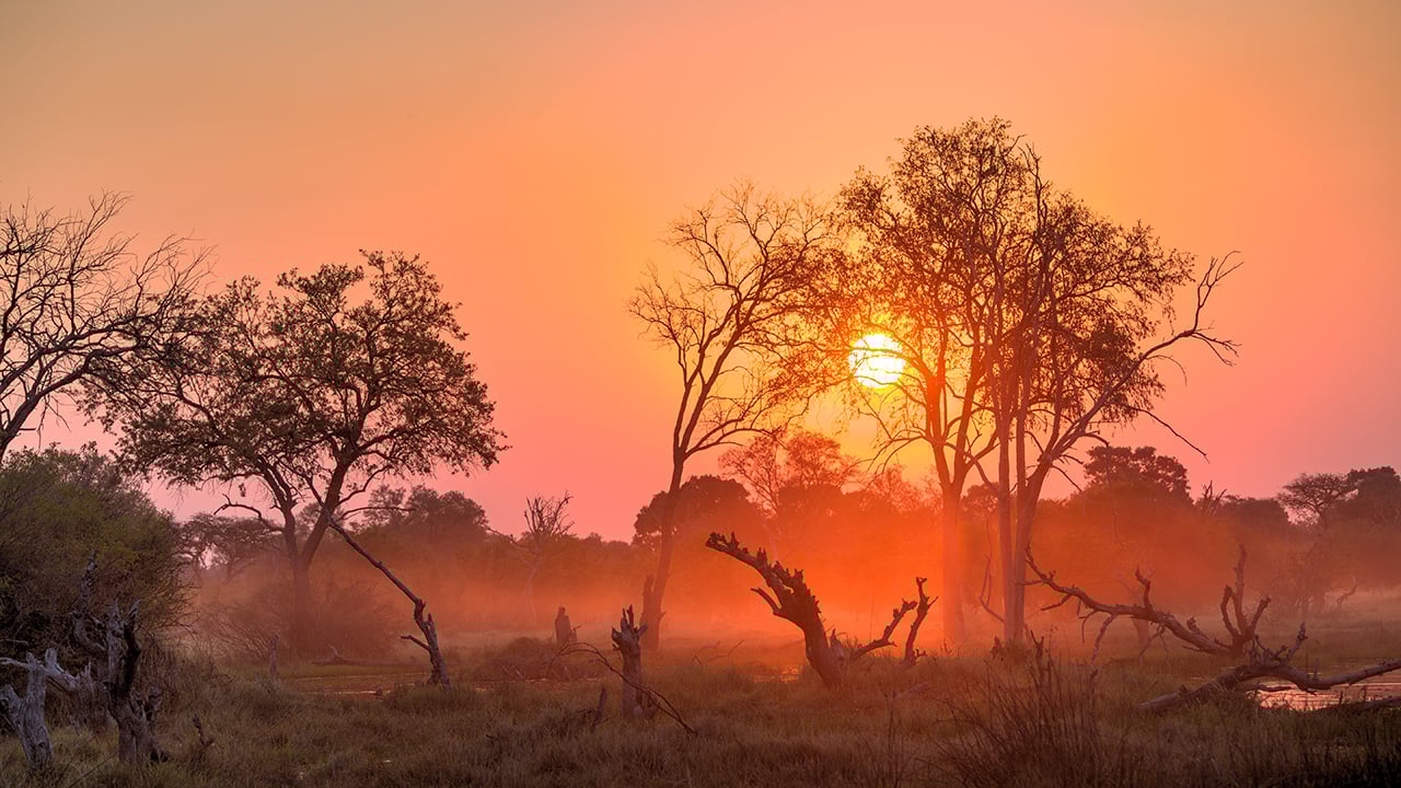 You may have hidden gems waiting to be used as stock footage on your hard drive Adobe Stock