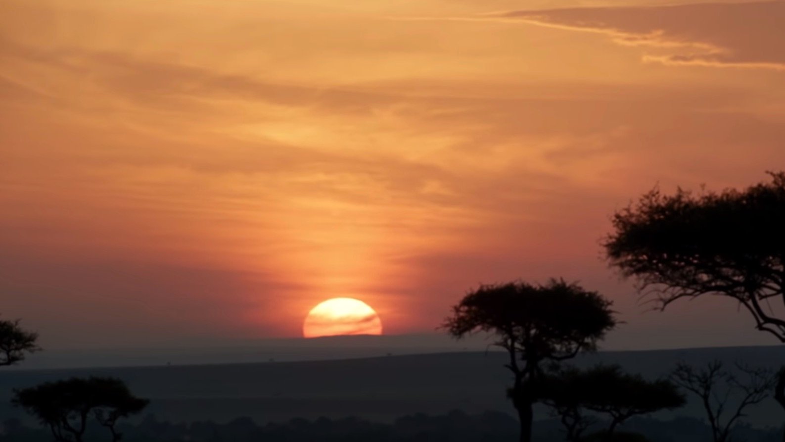 Lion King Sunrise shot from official trailer Disney