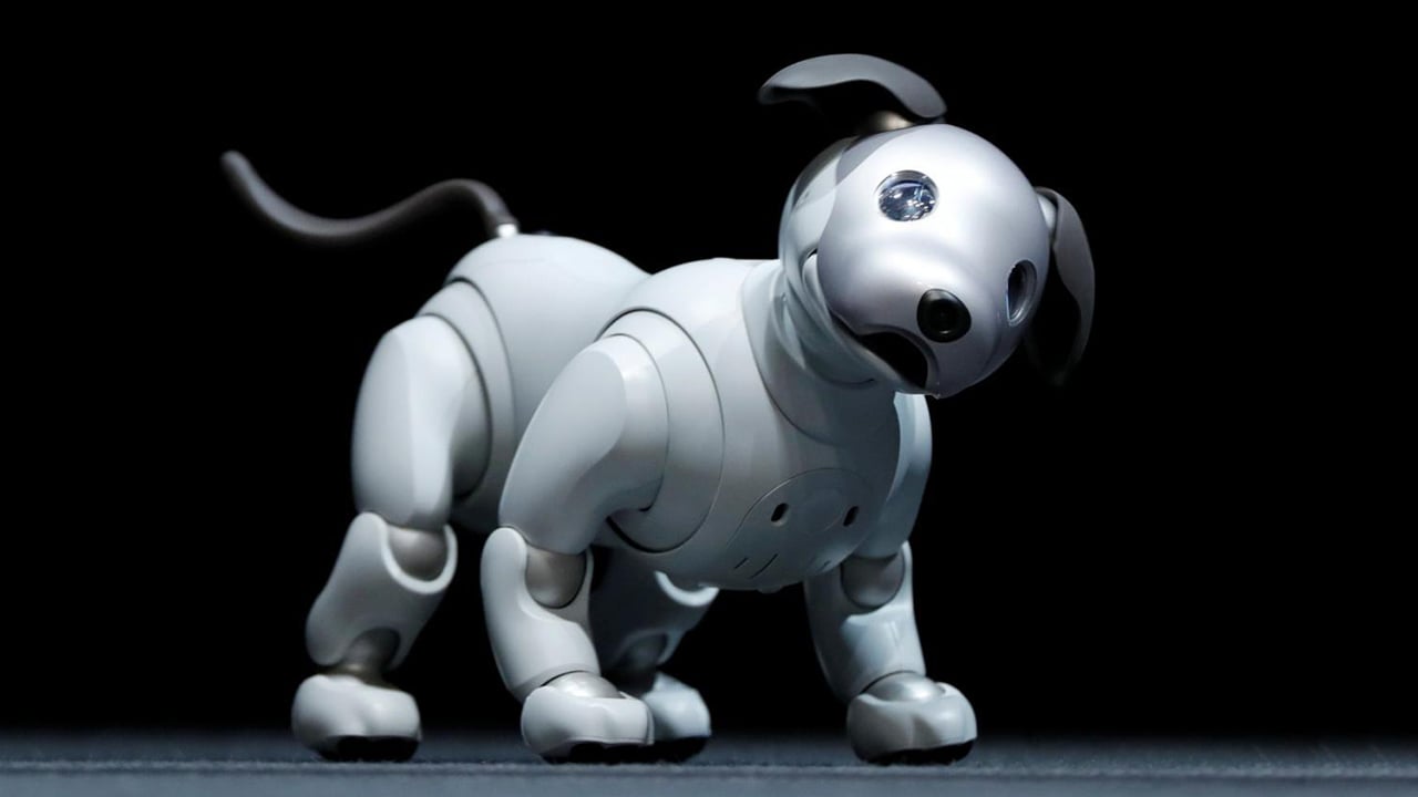 Sony's future might depend on a robot dog