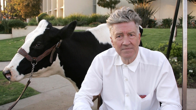 David Lynch in 2009 (plus cow) Shutterstock.com