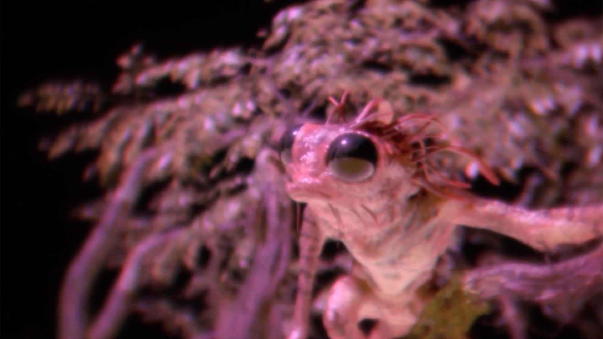 This is a shot taken looking at a Creal3D Light Field display headset. The focus differential here is real as the camera taking the shot saw it, not burned into the footage Creal3D