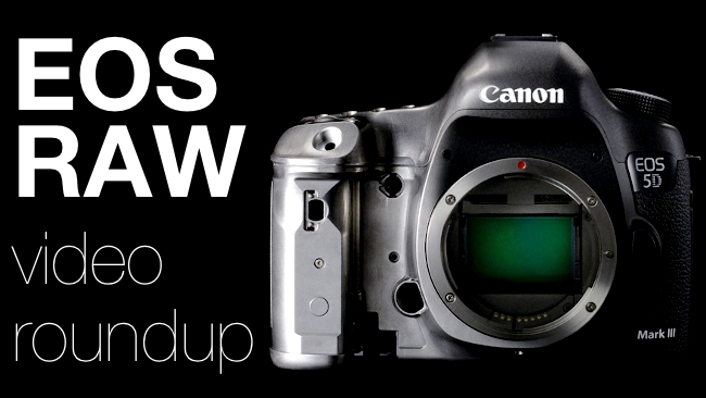 EOS RAW video roundup Canon/Freya Black/RedShark