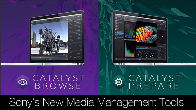 Sony's New Media Management Tools Sony Creative Software