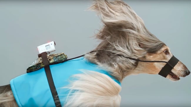 Have Action Cam, will travel Sony