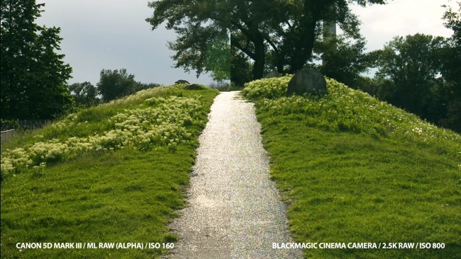 Cinema 5 D EOS 5D RAW and BMCC comparison Cinema 5D