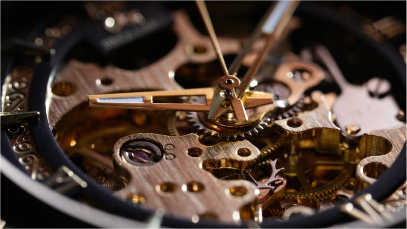 Sony FE 100mm F2.8 Macro GM sample image